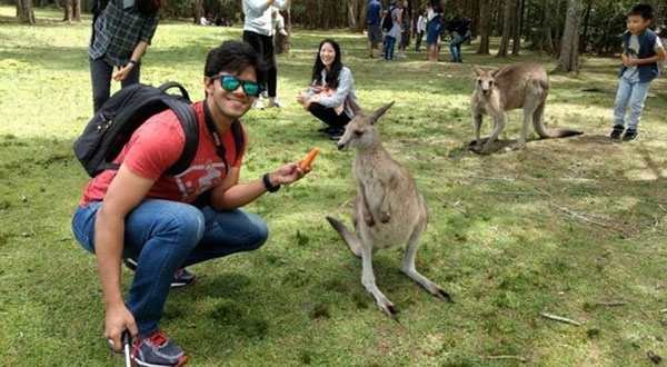 Carrot-Addicted Kangaroos Attacking Tourists in Australia Carrot-Addicted Kangaroos Attacking Tourists in Australia